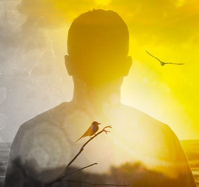 Dor e salto de consciência