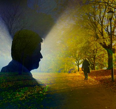 Podridão e fertilidade