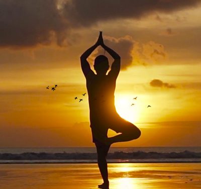 Disciplina autêntica