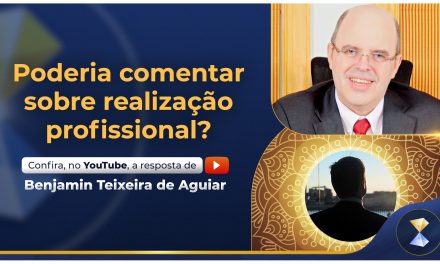 Poderia comentar sobre realização profissional?