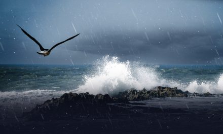 Surfando sobre as ondas do desequilíbrio¹