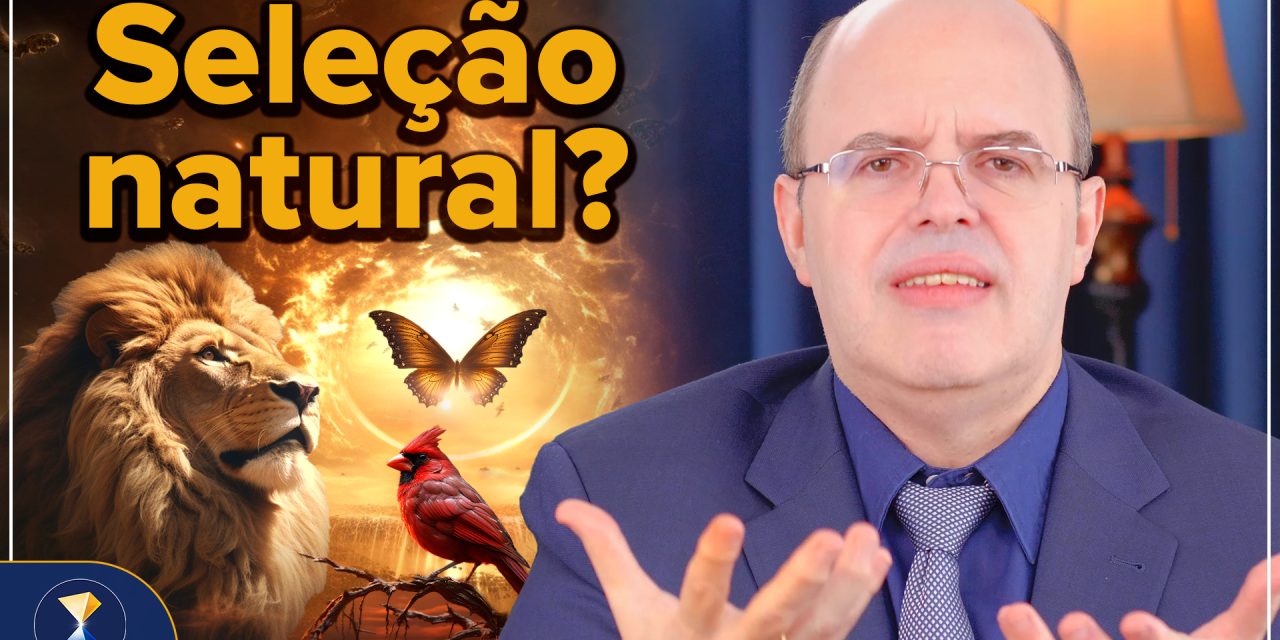 Deus, ateísmo e as limitações da inteligência humana