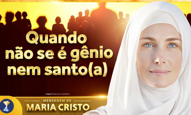 Quando não se é gênio nem santo(a)
