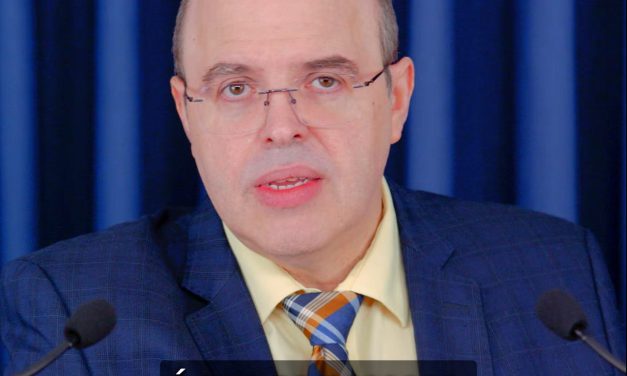 Estupidez e certezas