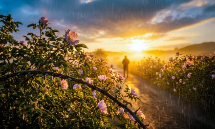 Travessias espinhosas