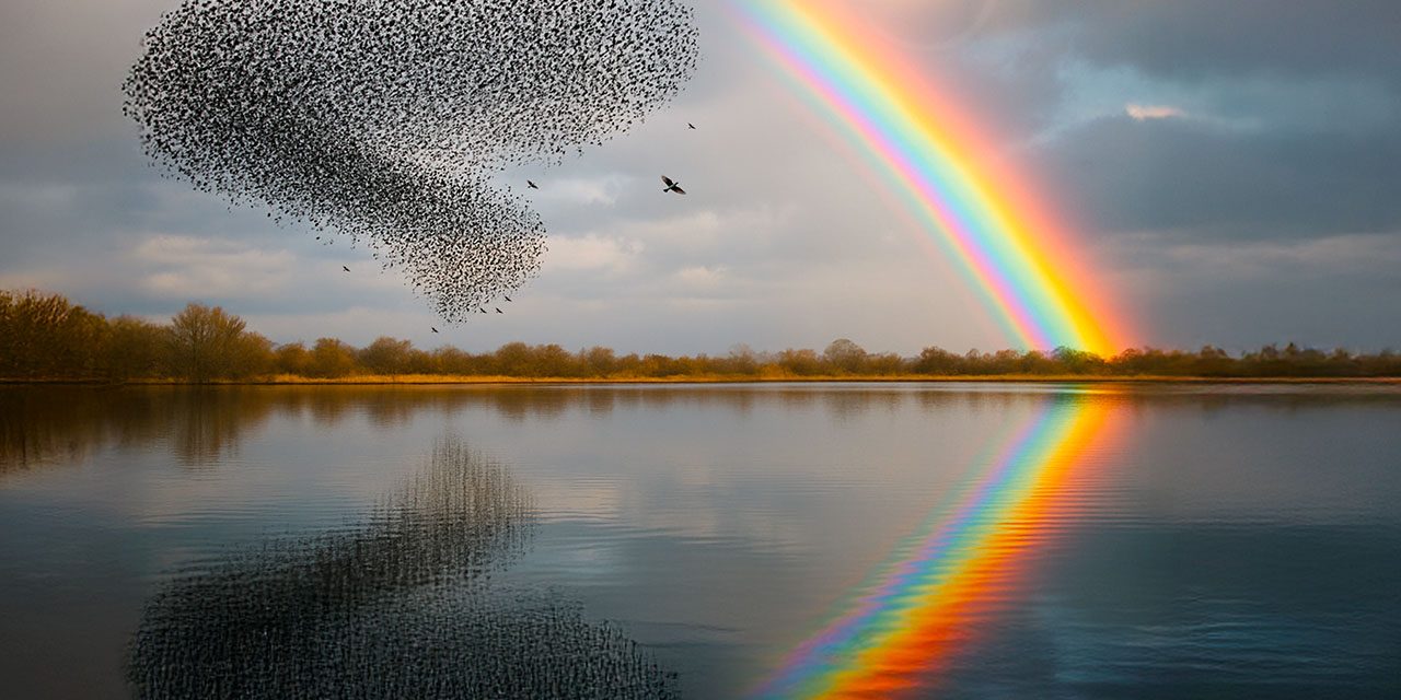 Responsabilidade criativa