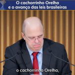 O cachorrinho Orelha e o avanço das leis brasileiras