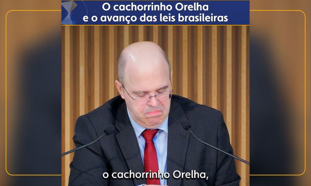 O cachorrinho Orelha e o avanço das leis brasileiras