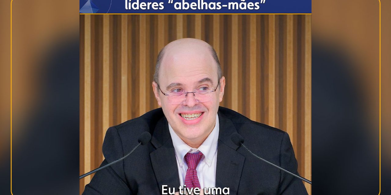 Mulheres: “cola” da sociedade, líderes “abelhas-mães”