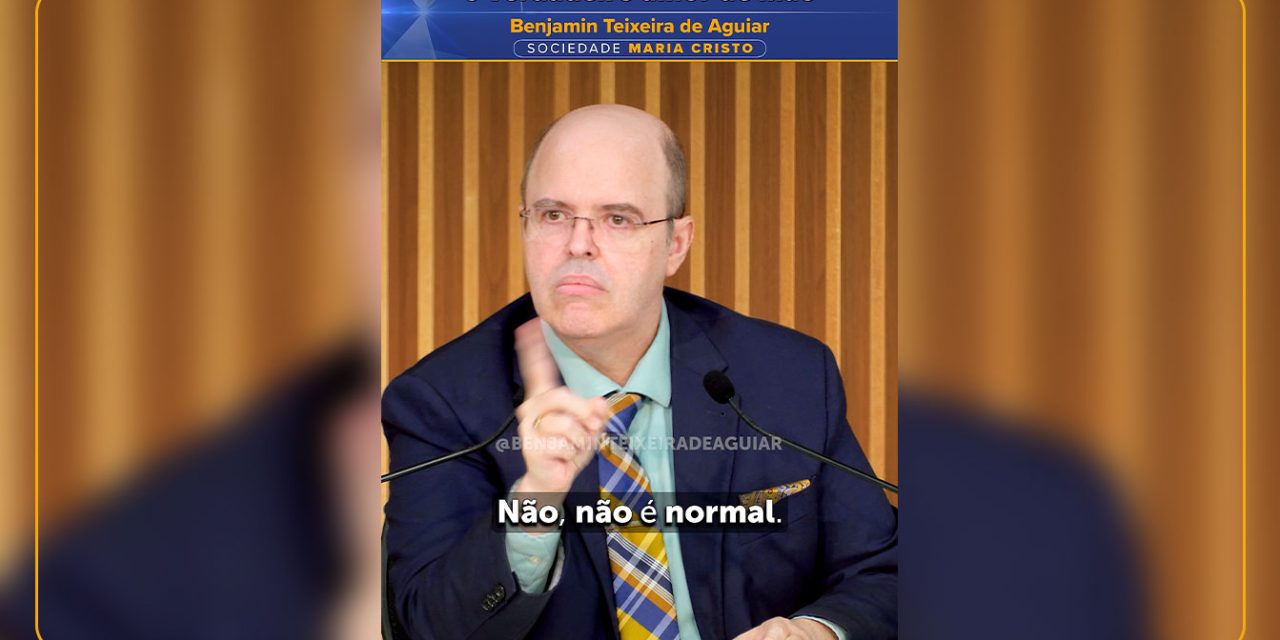 Sogra vs. nora e o verdadeiro amor de mãe