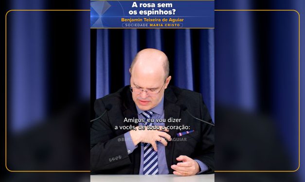 A rosa sem os espinhos?