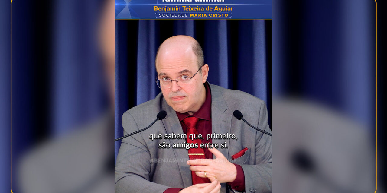 Deus, pátria e família animal