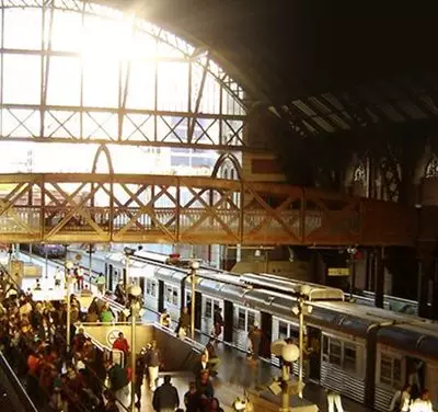 Polos vivos (banner 1)