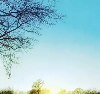 O desafio da adaptação (banner 6)