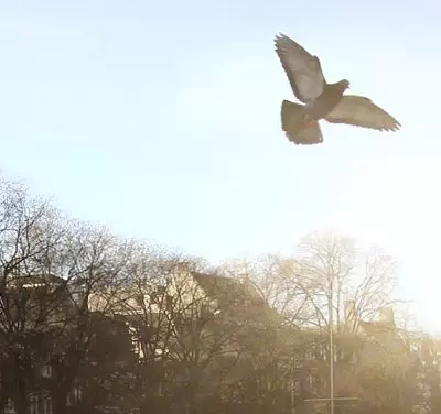 Oportunidade de agir.