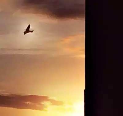 O Céu vê… (banner 1)