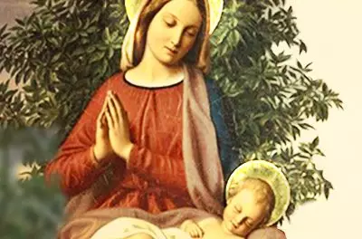 Assustadora profecia de Nossa Senhora (banner 1)
