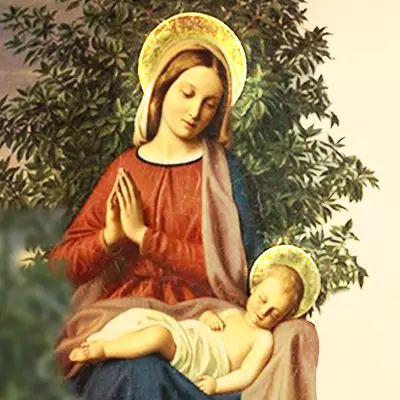 Assustadora profecia de Nossa Senhora (banner 1)