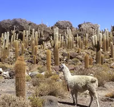 Rápidas considerações sobre a disciplina (banner 1)