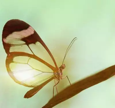 Solução no clima da saturação (banner 1)