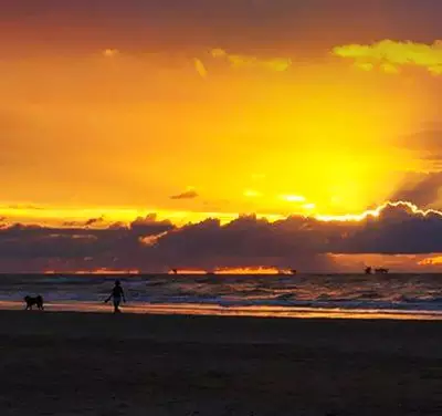 Sentindo-se em “tragédia inenarrável”