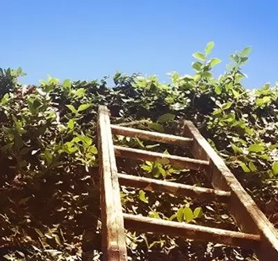 Provação e Misericórdia Divina.