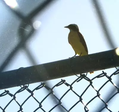 Solucionando as Questões mais Complexas de nossas Almas.