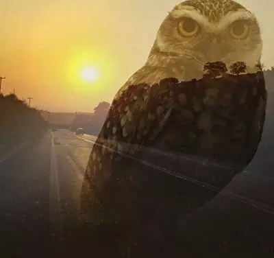 2 amigos traiçoeiros, mas necessários… 6 amigos evanescentes, mas indispensáveis (banner 4)