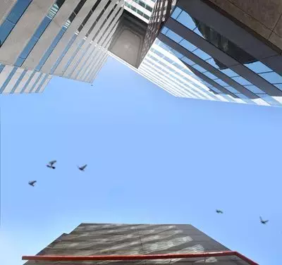 Tirania da comodidade, da normalidade, da rotina…