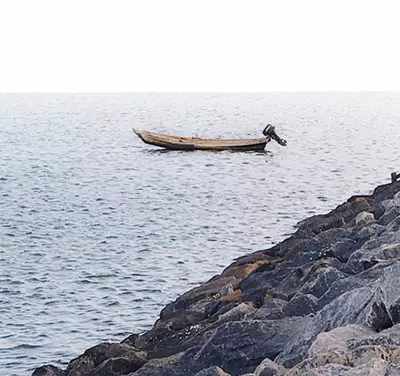 Percepção das próprias limitações e oportunidade de progresso.