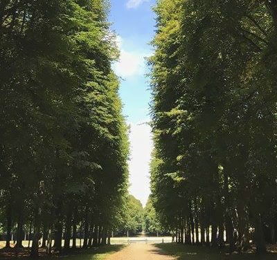 Realismo Fantástico.