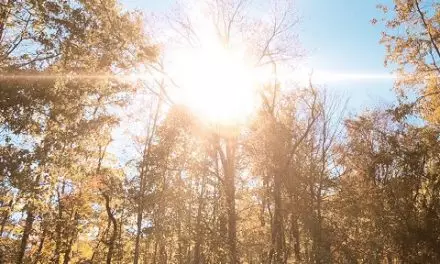 O Ser de Luz… de Infinito Amor!