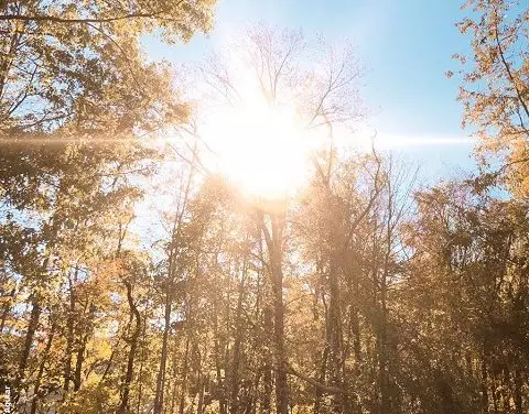 O Ser de Luz… de Infinito Amor!