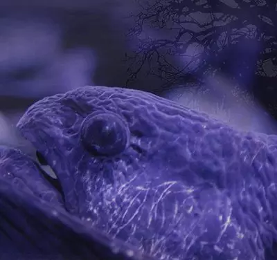 Discriminação e sua influência diabólica