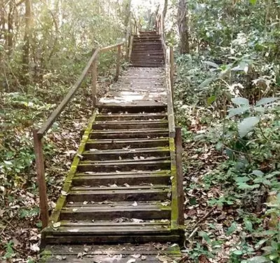 Surpresas do caminho e despertar da consciência.