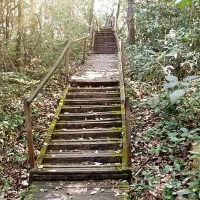 Surpresas do caminho e despertar da consciência.