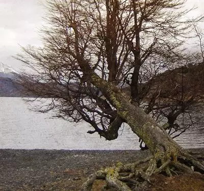 Cuidados Consigo e Grande Equívoco.