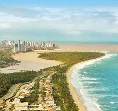 O Sopro do(a) Criador(a)