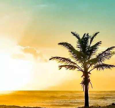 O Centro de nossas Vidas.