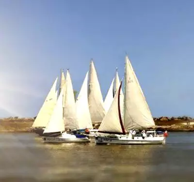 “Estranhezas” de um(a) profeta(isa)