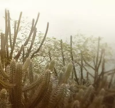 Desintegração do carma (banner 3)