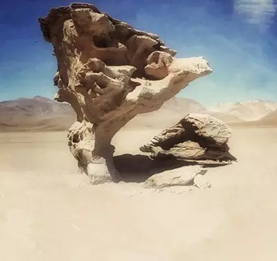 Paralisação e morte.