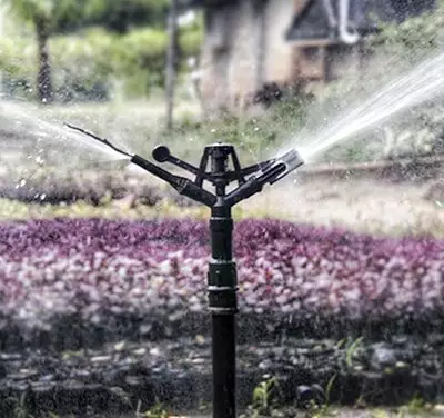 Laços ou nós (banner 1)