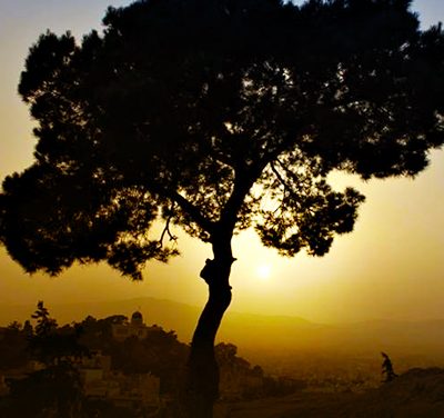 Mente, alma e espírito, em declínio ou ascensão do ser (banner 1)