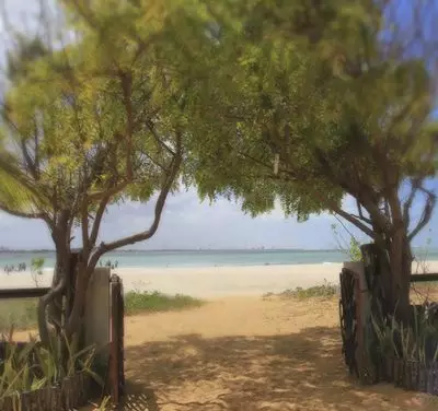 Ponto de equilíbrio na roda viva do caos (banner 3)