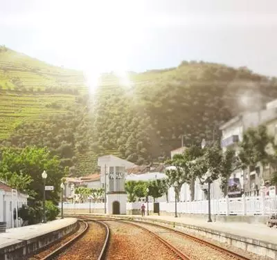 Pistas para a felicidade