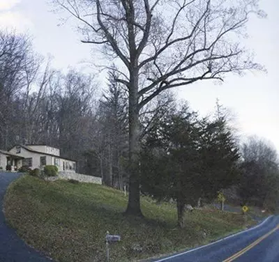 Solução real dos problemas