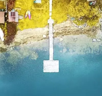 Ser humano e nível evolutivo.