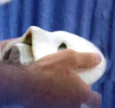 Máximas de Anacleto – V (banner 2)