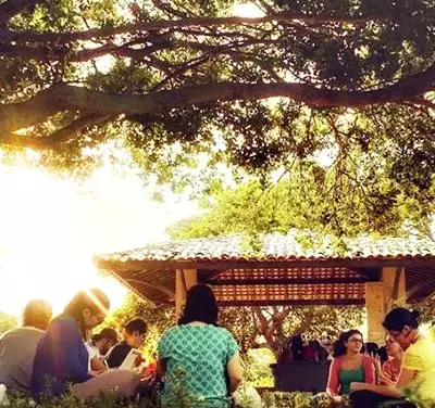 A trágica e irônica resistência à mudança – e um de seus mais misteriosos e poderosos causadores (banner 4)